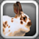 Very Bunny